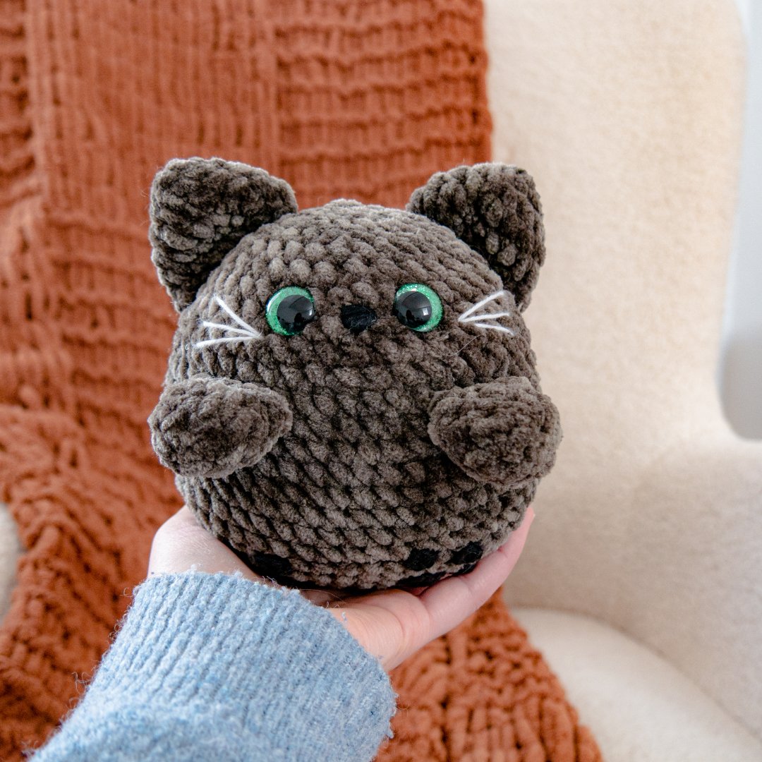 chat gris chat